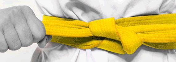 nexus-lean-six-sigma-yellow-belt